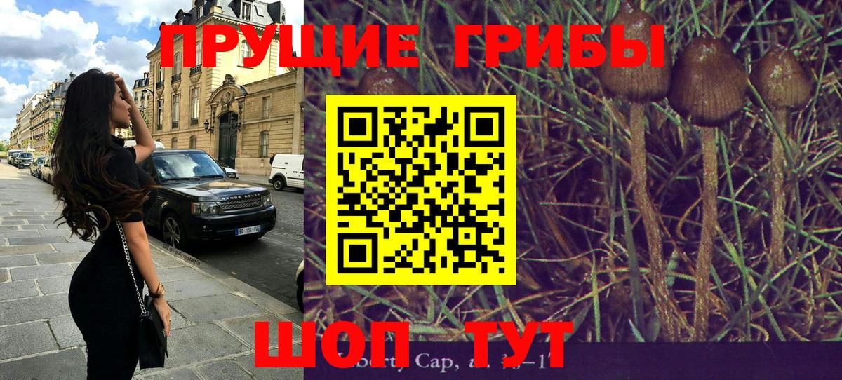Галлюциногенные грибы GOLDEN TEACHER Ивантеевка