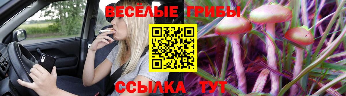 Ивантеевка  Псилоцибиновые грибы Cubensis  Псилоцибиновые грибы Psilocybe  Вход с VPN 